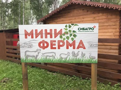 Продукты с фермы Ферма Брод в СПб в интернет-магазине Зеленый Хутор