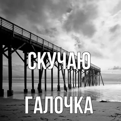 Как пройти верификацию и получить галочку в Инстаграм - Блог об email и  интернет-маркетинге