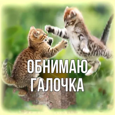 Голубая галочка, флажок, логотип, рука, электрик, палец, символ, круг png |  Klipartz