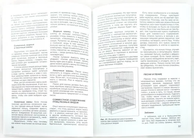 Эмоции у птиц развиты прекрасно» / Лента / Альпина нон-фикшн