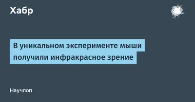 Купить Деревянный ящик для птичьего гнезда DIY Гнездо Набор для птичьего  домика Картина Птичий дом Художественное ремесло для детей | Joom