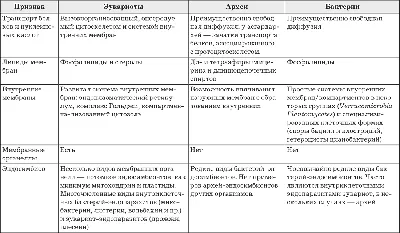 Заколдованные леса (fb2) | Флибуста