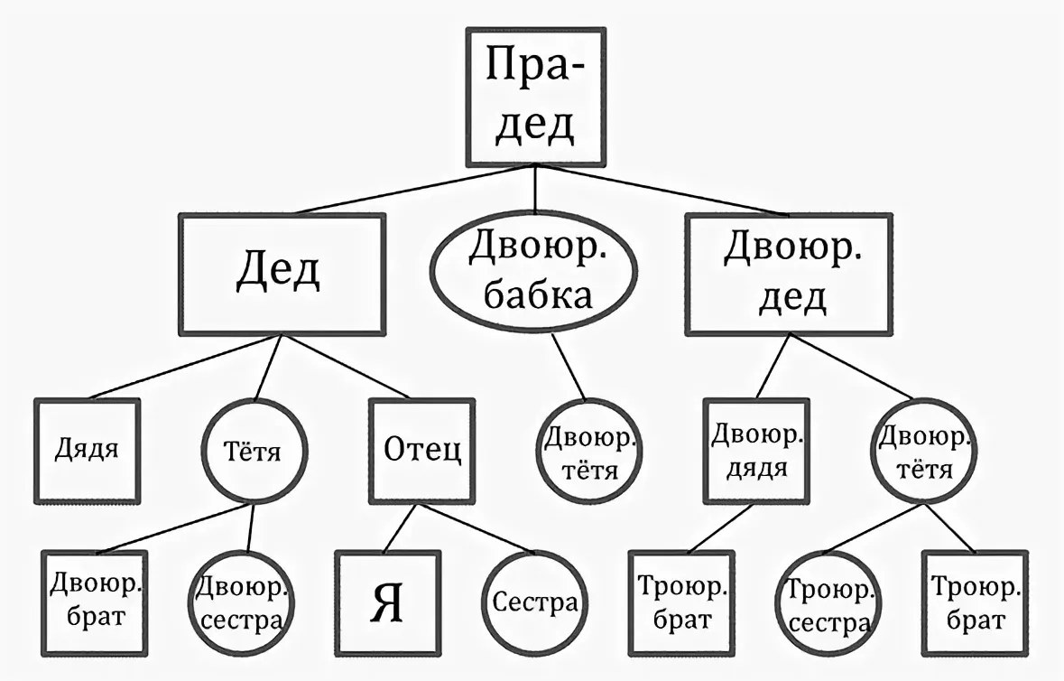 Составить родословную. Как составлять Древо семьи схема. Родословная таблица пример. Как составить дерево родословной схема. Как составлять генеалогическое Древо семьи схема.