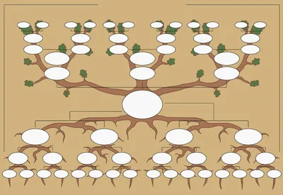 7 шагов по оформлению генеалогического древа