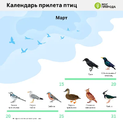 В. П. Шунтов \"Трудная профессия альбатроса\"