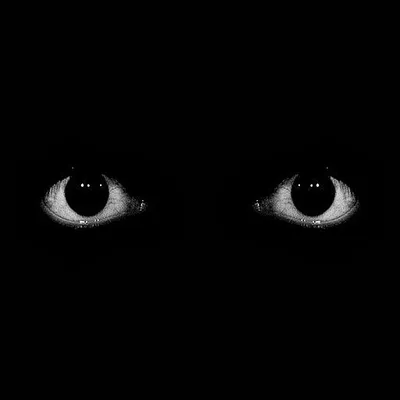 Два глаза в темноте - 74 фото