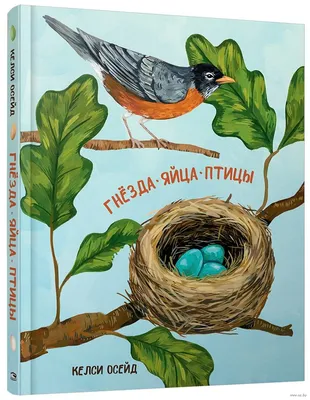 Igdir, аист, гнездо, яйцо, купол, мечеть, минарет, ислам, птица,  Birdwatching, Турция, Ближний Восток, ландшафт, вид с воздуха Стоковое  Изображение - изображение насчитывающей перо, восточно: 155451421