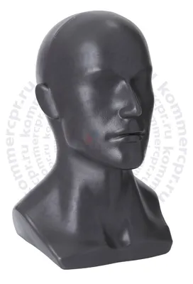 Лысая голова, вид сзади стоковое изображение. изображение насчитывающей  студия - 31826181