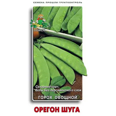 Семена гороха НС Мороз – Купить Цена Оригинал 100% – АгроМен