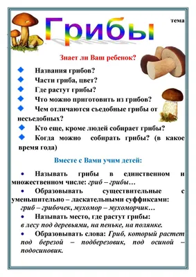 Руки детей и грибы Porcini. Прогулка в лесу для грибов с детьми. Концепция  осени Стоковое Фото - изображение насчитывающей вкусно, грибы: 155823564