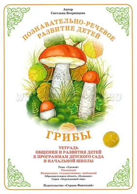 Раскраски Дети собирают грибы в лесу (29 шт.) - скачать или распечатать  бесплатно #27837