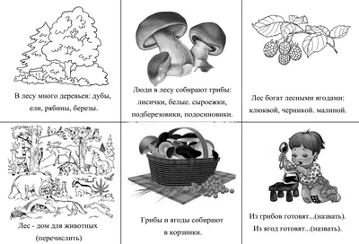 Дети собирают грибы. Рисунки и картинки для срисовки.