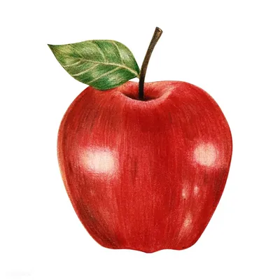Красное яблоко стоковое фото. изображение насчитывающей взорвать - 26818446