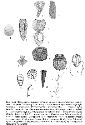 Том 19. Тяжелые времена. Рассказы и очерки (1850-1859) (fb2) | Флибуста