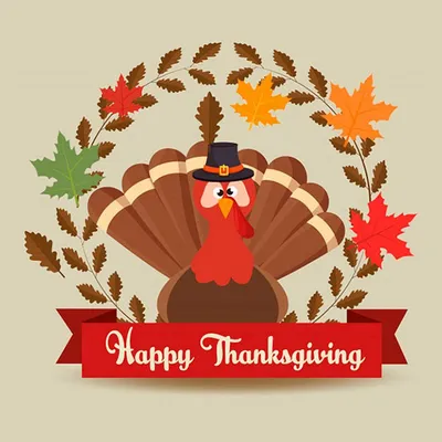 Thanksgiving funny cartoon outline. Vector cartoon turkey for... | Рисунок  птиц, Рисунок пера, Векторные иллюстрации