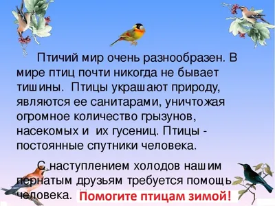 Презентация на тему: \"«Удивительные факты о пернатых». Интересные факты о  птицах Птицы – одни из самых распространенных животных в мире, многие из  видов которых, живут в непосредственном.\". Скачать бесплатно и без  регистрации.