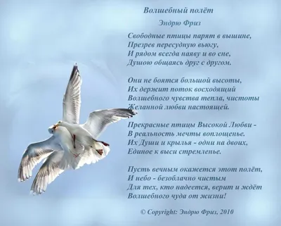 Психология Творцов собственной реальности - Рыба в океане не может видеть,  что птицы летят по небу. | Facebook