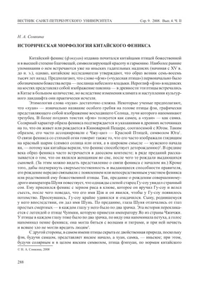 Соловей : [сказка] / Г. Х. Андерсен , пер. с дат. , ил. О. Н. Пахомова. —  М. : Нигма, 2022. — 40 с. : ил. — (Художники рисуют Андерсена). купить, отзы