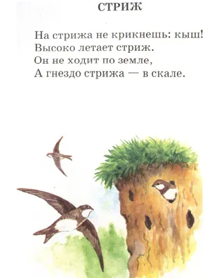 После зимовки на природные территории Москвы вернулись ласточки | Районная  газета «Хорошёво-Мневники» СЗАО Москвы