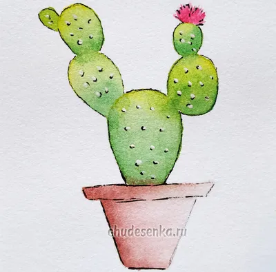 Создать мем \"кактус для детей, cactus, кактус (🌵 кактусы)\" - Картинки -  Meme-arsenal.com