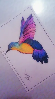 Colibri/Колибри Drawing with colored pencil/ Рисунок цветными карандашами  by M… | Colored pencil artwork, Colored pencil artwork ideas, Pencil  drawings of animals