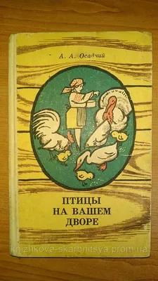 Лексическая тема \"ЗИМУЮЩИЕ ПТИЦЫ\" | Мио логопед Кристина Борисова | Дзен