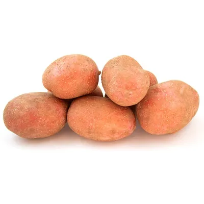 Купить картофель Рябушка средний +-500 г, цены на Мегамаркет | Артикул:  100045548729