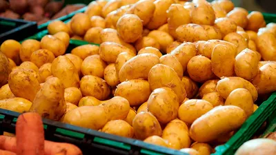 Семенной картофель Алюэтт (1 репродукция) купить в Украине | Веснодар