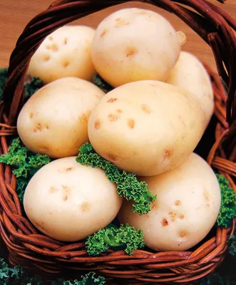 Купить картошку из Египта в Fruitonline