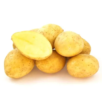 2 любимых сорта картофеля - и для варки, и для жарки\": урожайные, вкусные,  диетические | Валентина Ласкина и ласковый сад | Дзен
