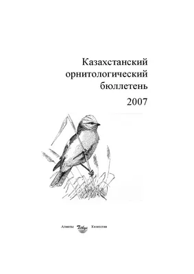 Казахстанский орнитологический бюллетень 2007 by Dmitriy Denisov - Issuu