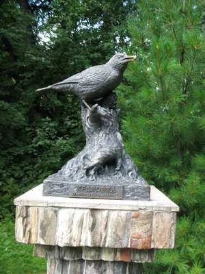 Гнездящиеся птицы Приморского края: бледный дрозд Turdus pallidus – тема  научной статьи по биологическим наукам читайте бесплатно текст  научно-исследовательской работы в электронной библиотеке КиберЛенинка