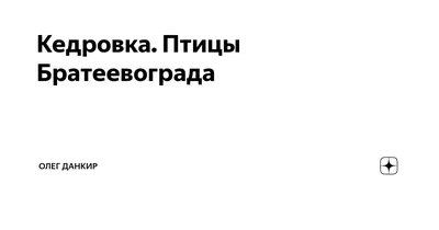 Петровский припоселковый кедровник имени С.И.Жабина « Особо охраняемые  природные территории Томской области | ОГБУ \"Облкомприрода\"