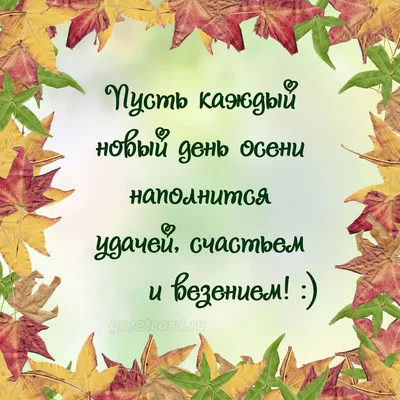 Картинки осеннего настроения и хорошего дня красивые (50 фото) » Картинки и  статусы про окружающий мир вокруг