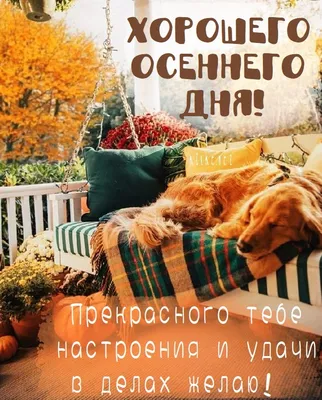 Хорошего осеннего дня - новые красивые картинки (52 ФОТО)