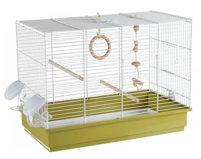 Купить клетка для птиц PetTails 41x30x76 см, бежевый, хром, цены на  Мегамаркет | Артикул: 600005311528