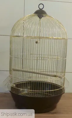 Купить клетку для появления птиц. Высота 41 см. по самой выгодной цене 3500  рублей