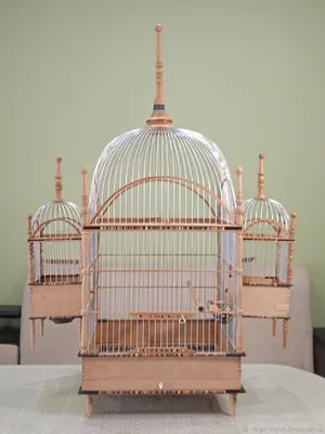 Клетка для птиц Пижон хром укомплектованная 41х30х76 см изумрудная купить  по цене 12203 ₽ с доставкой в Москве и России, отзывы, фото