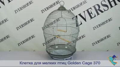 Купить Клетка для птиц INTER-ZOO Nina 54х34х74см в Бетховен