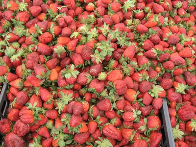 Декор для торта Яркие ягоды \"Клубнички\", 12 элементов - купить с доставкой  по выгодным ценам в интернет-магазине OZON (519056801)