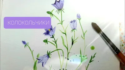 Акварель для начинающих. Как нарисовать ЦВЕТЫ КОЛОКОЛЬЧИКИ - YouTube