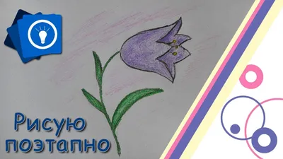 МБДОУ г. Иркутска детский сад № 58, Rused - Единая сеть образовательных  учреждений.