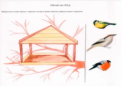 Творческий отчёт «Покормим птичек-невеличек». - МБДОУ г. Иркутска детский  сад № 10