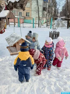 Фотоотчет об акции в детском саду «Покормите птиц зимой» (3 фото).  Воспитателям детских садов, школьным учителям и педагогам - Маам.ру