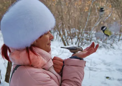 Синицам — сало, воробьям — горох: как спасти городских птиц от голодной  смерти - 9 ноября 2017 - 72.ru