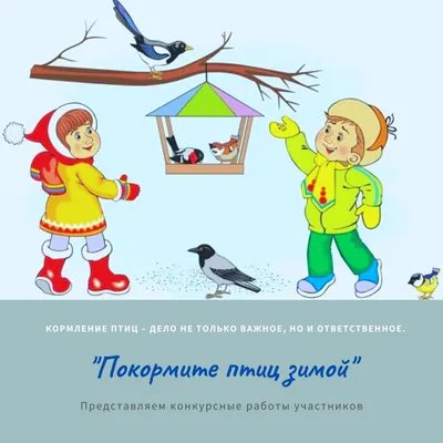 Как правильно подкармливать птиц зимой