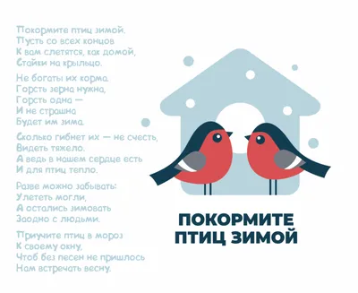 Как и чем подкормить городских птиц зимой в Уфе - 13 ноября 2019 - ufa1.ru