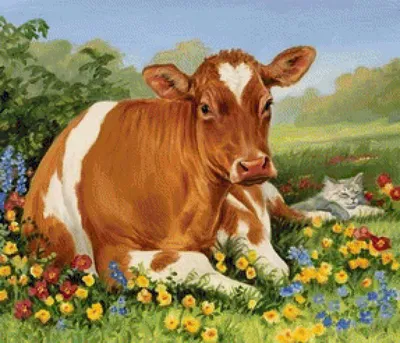 Обои с коровами | Корова | Cow wallpapers | Cow | 🐮 | 🐄 | Коровы,  Домашнее животное, Обои