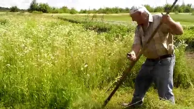 Косить траву в пути деревни традиционном с косой Стоковое Фото -  изображение насчитывающей природа, заточите: 118169228