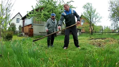 Чем лучше косить траву триммером или косой, личный опыт | Записки из шкафА  | Дзен